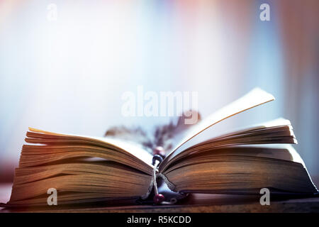 Altes Buch Stockfoto