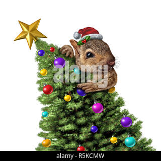 Eichhörnchen schmücken einen Weihnachtsbaum als Winterurlaub gruss Symbol auf weißem Hintergrund mit 3D-Illustration Elemente isoliert. Stockfoto