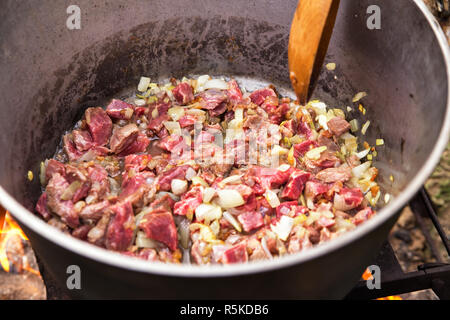 Traditionelle Küche in der Natur. Fleisch und Zwiebeln Stockfoto