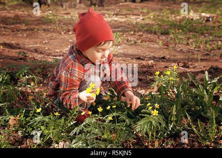 Glücklich niedlichen kleinen Baby auf einem grünen Rasen mit blühen Gelb Blumen auf einem sonnigen Frühling oder Sommertag. Ein Kind spielt unter den Kiefern. Ein kleiner Junge träumt und ruht, einen Blumenstrauß zu sammeln Stockfoto