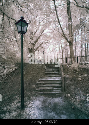 Treppe im park Stockfoto