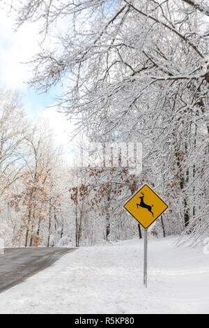 Vertikale eines Hirsches überfahrt auf einem Winter Straße Stockfoto