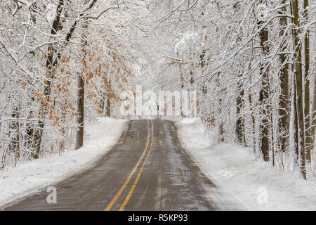 Eine Straße weiter geradeaus durch den verschneiten Winterwald Stockfoto