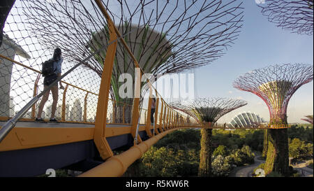 Singapur, Marina Bay, Gärten an der Bucht, Besucher genießen die erhöhten Skyway, die 22 Meter über dem Boden in der Supertree Grove Stockfoto