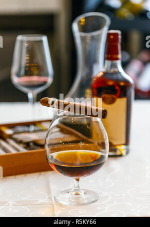 Qualität, Zigarren und Cognac Stockfoto