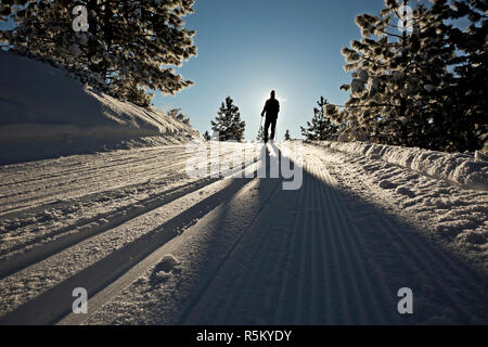 WA 15373-00 ... WASHINGTON - kühlen Morgen Skifahren auf den bestens gespurten Loipen im Echo Ridge Nordic Ski in der Nähe von Chelan. Stockfoto