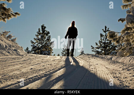 WA 15374-00 ... WASHINGTON - Cross Country skier auf den bestens gespurten Loipen im Echo Ridge nordischen Bereich in der Okanogan-Wenatchee National Forest. Stockfoto