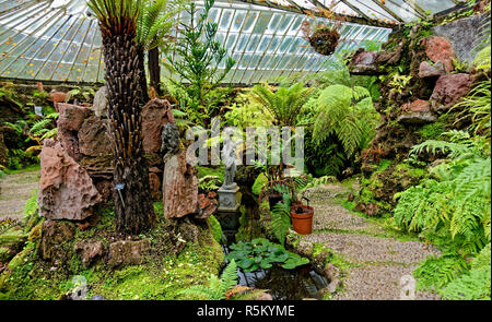 Die Versunkene viktorianischen Fernery an ascog Halle Garten in der Nähe von Rothesay auf der Isle of Bute, Argyll, Schottland. Stockfoto