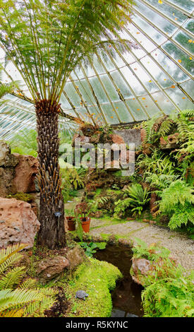 Die Versunkene viktorianischen Fernery an ascog Halle Garten in der Nähe von Rothesay auf der Isle of Bute, Argyll, Schottland. Stockfoto