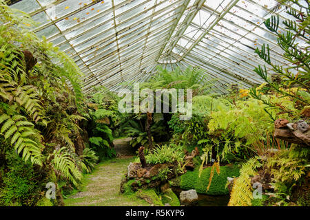 Die Versunkene viktorianischen Fernery an ascog Halle Garten in der Nähe von Rothesay auf der Isle of Bute, Argyll, Schottland. Stockfoto