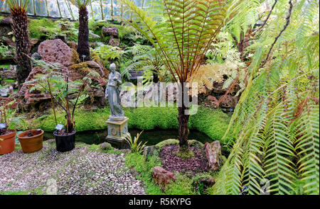 Die Versunkene viktorianischen Fernery an ascog Halle Garten in der Nähe von Rothesay auf der Isle of Bute, Argyll, Schottland. Stockfoto