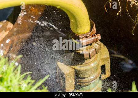 In der Nähe der Yellow Water Schlauch mit einer Undichtigkeit das Wasser spritzt. Stockfoto