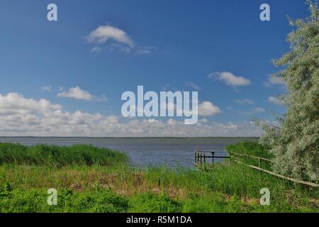 Blick von wustrow am Saaler Bodden, Halbinsel Fischland-Darß-Zingst Mecklenburg- Vorpommern, Deutschland Stockfoto