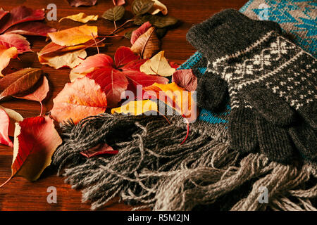 Handschuhe, Schal und herbstliche Laub Stockfoto