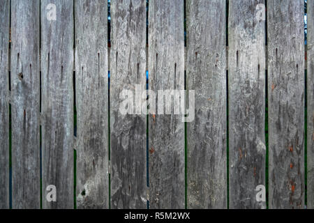 Hintergrundtextur von alten weiß Holz lackiertem Futter Bretter Wand Stockfoto