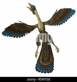 Archaeopteryx auf weiß Stockfoto