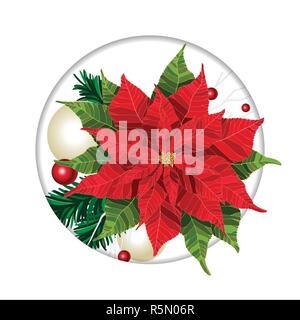 Weihnachtsstern Weihnachten schöne winter blumen Grußkarte Stock Vektor