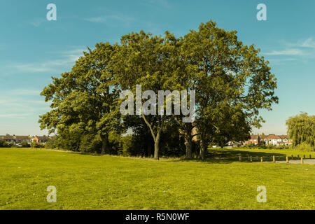 Schöne Caludon Schlosspark, Coventry, Vereinigtes Königreich Stockfoto