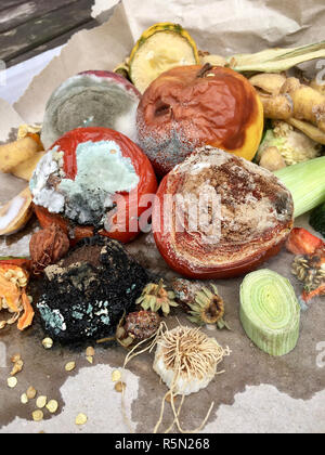 Schimmeliges Obst und Gemüse auf grauem Papier in Nahaufnahme Stockfoto