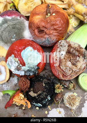 Schimmeliges Obst und Gemüse auf grauem Papier in Nahaufnahme Stockfoto