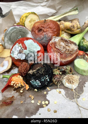 Schimmeliges Obst und Gemüse auf grauem Papier in Nahaufnahme Stockfoto