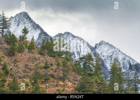 Berglandschaft von Uttarkhand, Indien Stockfoto