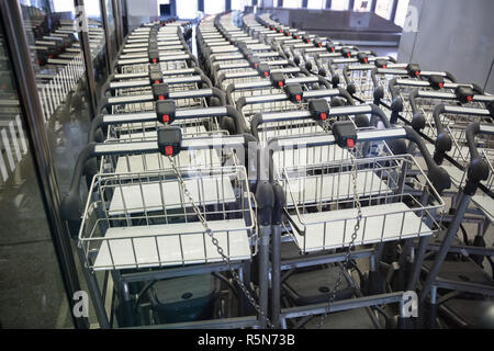 Blick auf Gepäckwagen in der Zeile am Flughafen Stockfoto