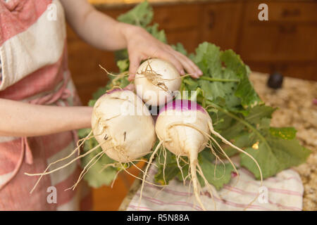 Frau im Vorfeld große, gesunde Rüben gezogen von einem Haus Garten. Stockfoto