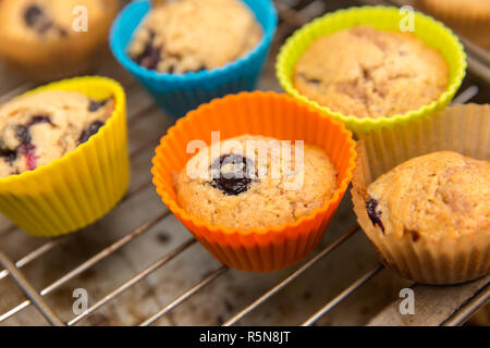 Hausgemachten blueberry muffins gebacken in bunten Silikon cups, Kühlung auf ein Backblech Rack in einer Küche. Stockfoto