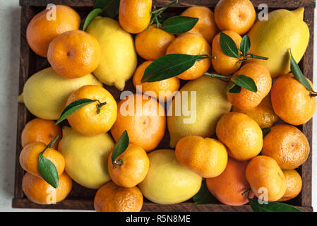 Verschiedene Zitrusfrüchte - Zitronen, Mandarinen, Orangen mit Blättern. Frische organische Zitrusfrüchte wie Hintergrund, aus der Nähe. Stockfoto