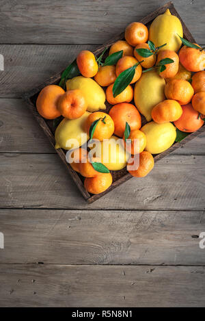 Verschiedene Zitrusfrüchte im Box-Zitronen, Mandarinen, Orangen mit Blättern. Frische organische Zitrusfrüchte auf rustikalen Holzmöbeln Hintergrund, kopieren. Stockfoto