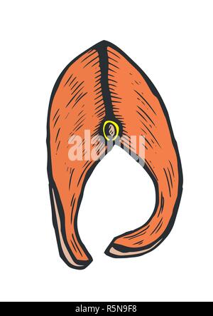Hand gezeichnet Doodle Skizze Line Art Vector Illustration der Scheibe der Fisch in der Vorderansicht. Menü Poster Karte Dekoration schwarzer Umriss Gestaltungselement Templ Stock Vektor