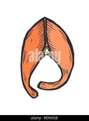 Hand gezeichnet Doodle Skizze Line Art Vector Illustration der Scheibe der Fisch in der Vorderansicht. Menü Poster Karte Dekoration schwarzer Umriss Gestaltungselement Templ Stock Vektor