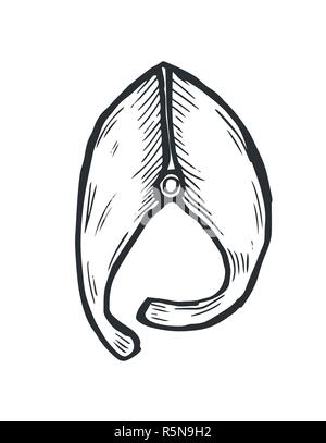 Hand gezeichnet Doodle Skizze Line Art Vector Illustration der Scheibe der Fisch in der Vorderansicht. Menü Poster Karte Dekoration schwarzer Umriss Gestaltungselement Templ Stock Vektor