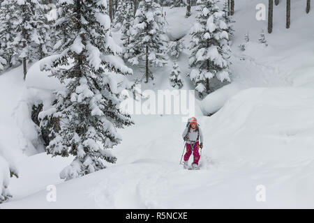 Frau Skifahrer, Freerider skitur bergauf im Schnee im Winter Wald Stockfoto