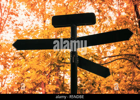 Black Metal multidirektional leer Schild im Wald gegen Herbst Blätter auf den Bäumen Stockfoto