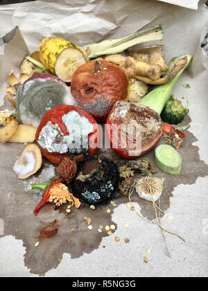 Schimmeliges Obst und Gemüse auf grauem Papier Stockfoto