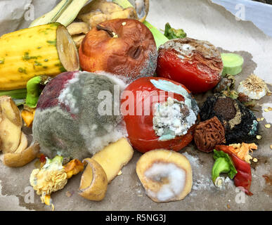 Schimmeliges Obst und Gemüse auf grauem Papier Stockfoto