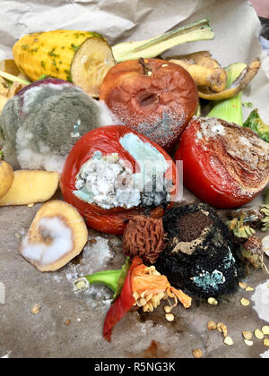 Schimmeliges Obst und Gemüse auf grauem Papier Stockfoto