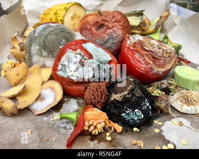 Â schimmeliges Obst und Gemüse auf grauem Papier Stockfoto