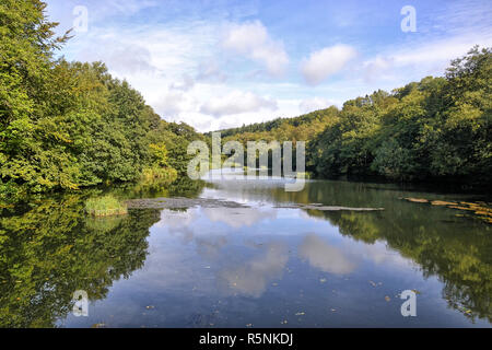 Otterhead Seen, Blackdown Hills, Otterford in Somerset, England. Gebiet von außergewöhnlicher natürlicher Schönheit. Großbritannien Stockfoto