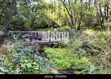 Brücke über einen Bach bei Otterhead Seen, Blackdown Hills, Otterford in Somerset, England. Gebiet von außergewöhnlicher natürlicher Schönheit. Großbritannien Stockfoto