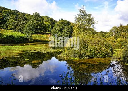 Otterhead Seen, Blackdown Hills, Otterford in Somerset, England. Gebiet von außergewöhnlicher natürlicher Schönheit. Großbritannien Stockfoto