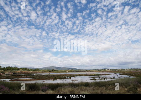 Heide im Naturschutzgebiet Ria Formosa Stockfoto