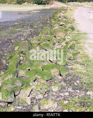 Algen bedeckt Felsen Bildung auf der Seite der Straße Stockfoto