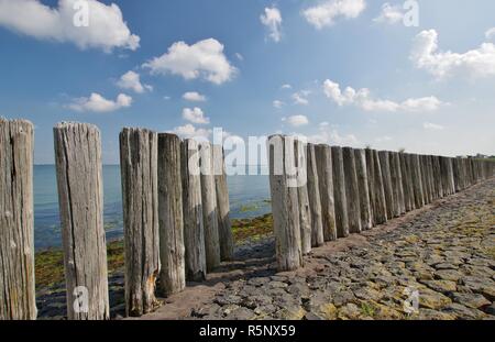 Deich und buhnen an der Nordküste - Noord Beveland, Provinz Zeeland Niederlande Stockfoto