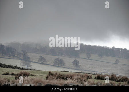 Landschaft Szene. Niedrige Wolken rollen über Hügel auf moorland Derbyshire Landschaft, UK. Nebel über hügeligen Feldern mit Bäumen. atmosphärische Stimmung. Peak District. Stockfoto