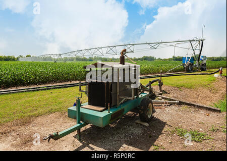 Die Bewässerung mit der drehmittelpunkt Sprinkleranlage Stockfoto