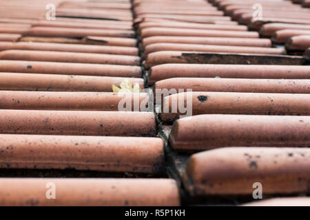 Fliesen auf alten Dach, Architektur Hintergrund. Stockfoto