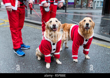 Liverpool, Merseyside, UK. 2. Dezember 2018. BTR Liverpool Santa Dash. Menschen in Merseyside feiern die Rückkehr des britischen größte Festliche 5 K Fun Run. Die festliche Veranstaltung weiterhin mit bis zu 10.000 Läufer, Rot, Blau und mini Weihnachtsmänner, die in diesem Jahr zu wachsen. Die Strecke führte der schneidige Weihnachtsmänner durch die Innenstadt, bevor sie die Ziellinie außerhalb der Stadt Hall, wo Sie von unzähligen festliche Zeichen begrüßt wurden gekreuzt. Credit: cernan Elias/AlamyLiveNews. Stockfoto